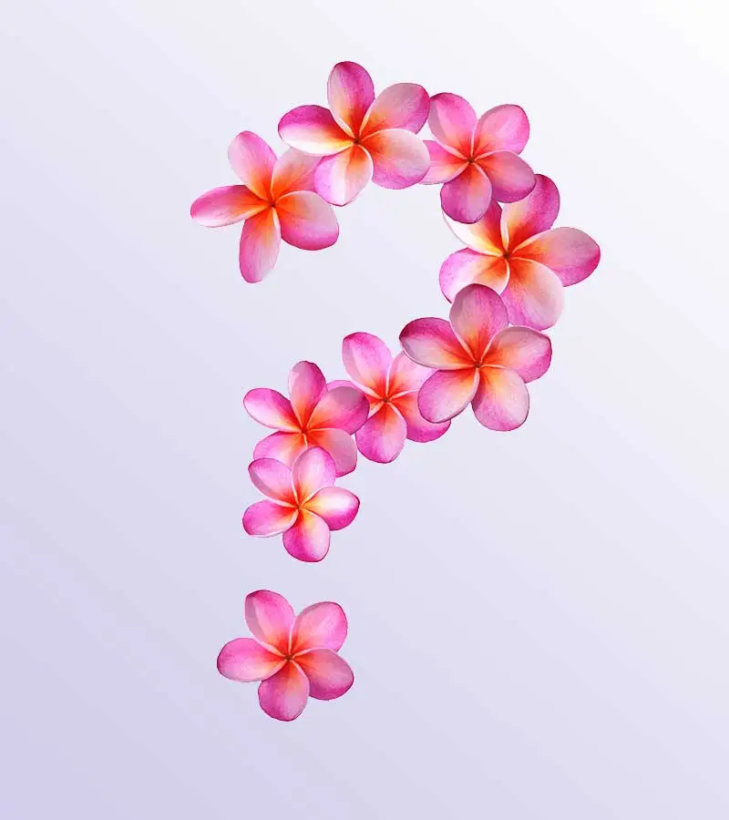 FAQ - Massage Class Information