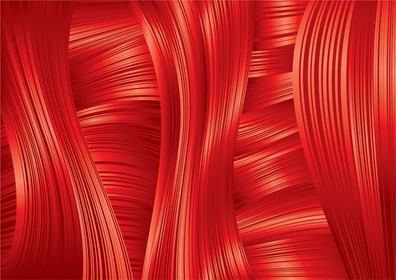 WholeBody View Massage